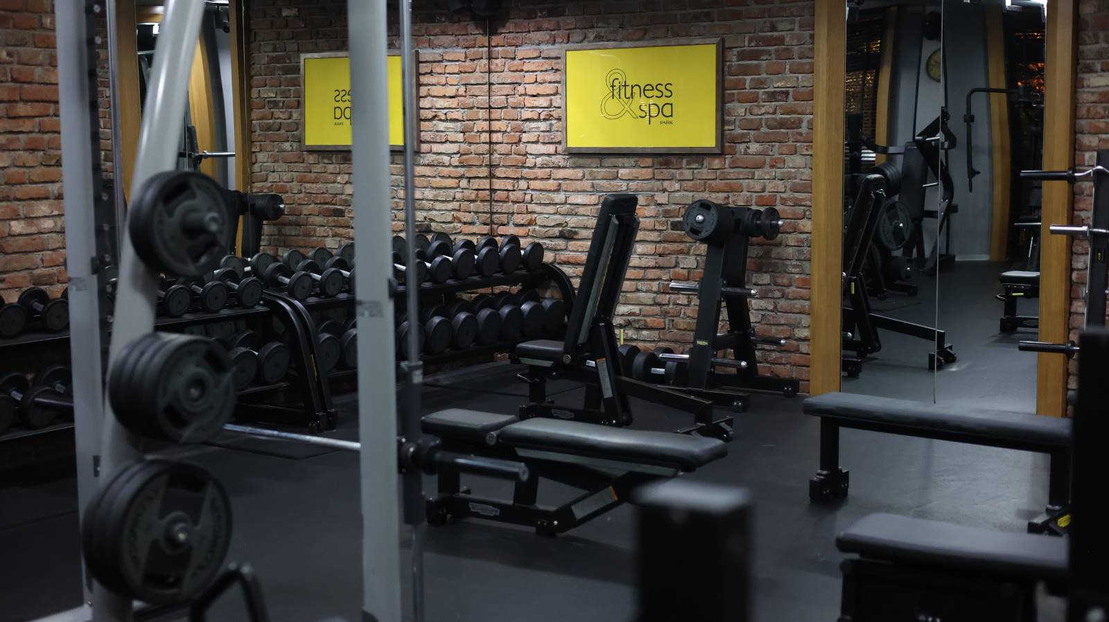 Step into Fitness Park